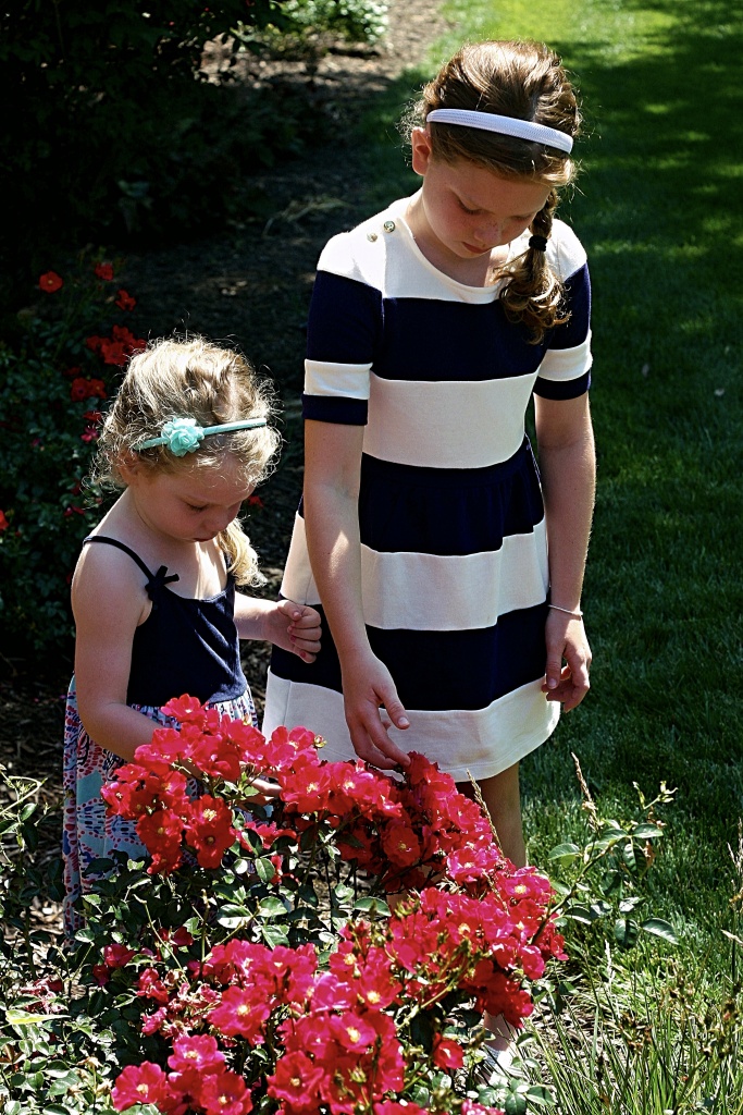 Nebraska Motherhood + Fashion blogger, Leslie of Tiny Stampede shares a staple piece in her little girls closets, knit dresses! Check them out.