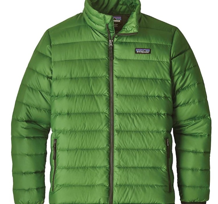 Kids' Winter Jacket Sale Patagonia Boys' Down Sweater Succulent Green Moosejaw